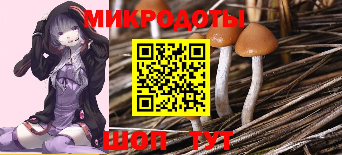 Галлюциногенные грибы MAGIC MUSHROOMS  Галлюциногенные грибы Psilocybine cubensis  что такое   Вход с VPN  Старая Купавна 